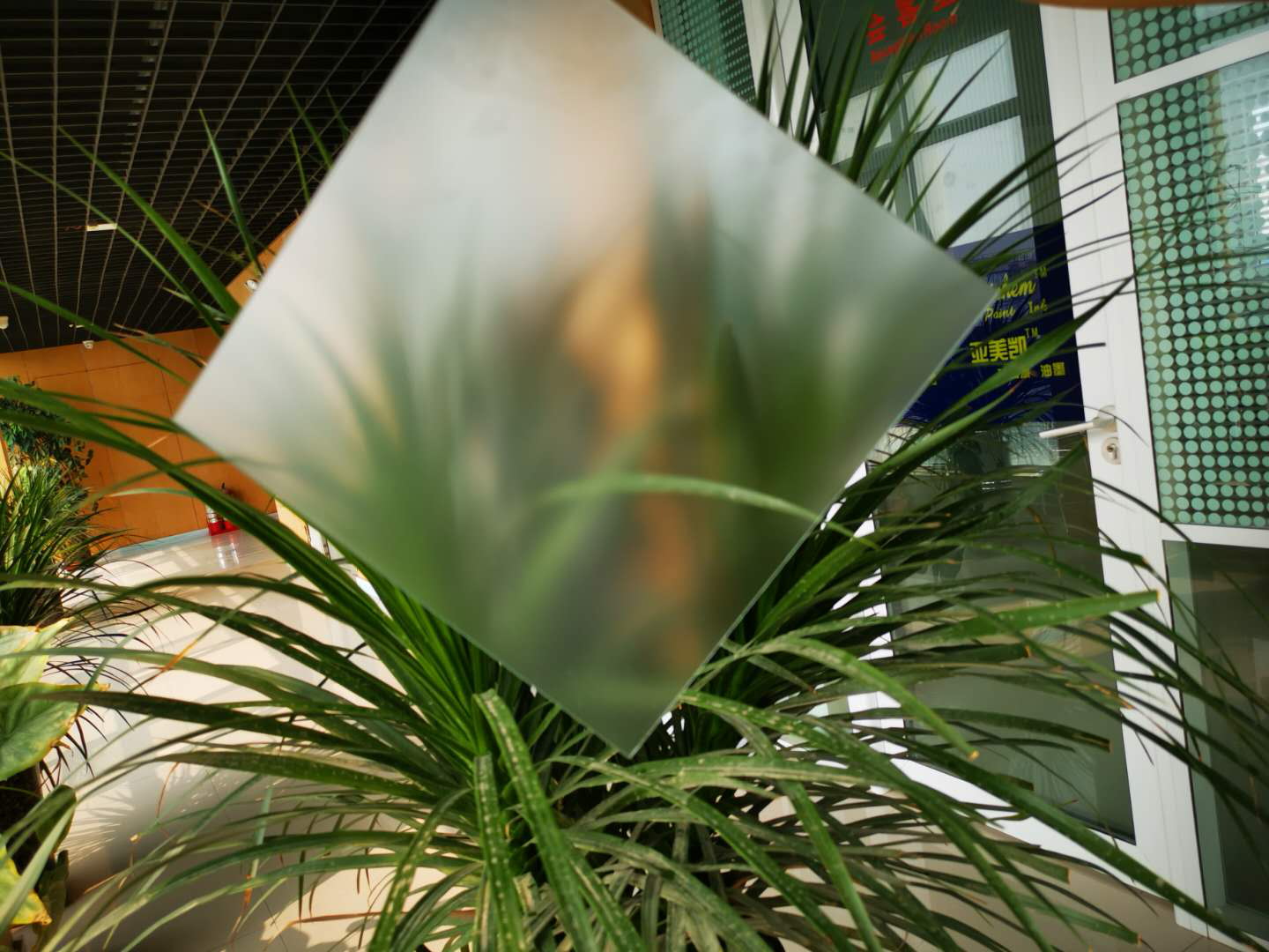 肌肤砂开云集团官网首页